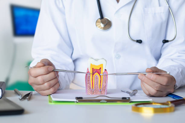 Best Emergency Tooth Extraction in Fairview, UT